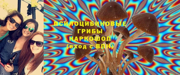 тгк Абинск