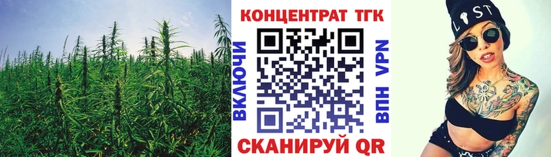 ТГК концентрат  Шали 
