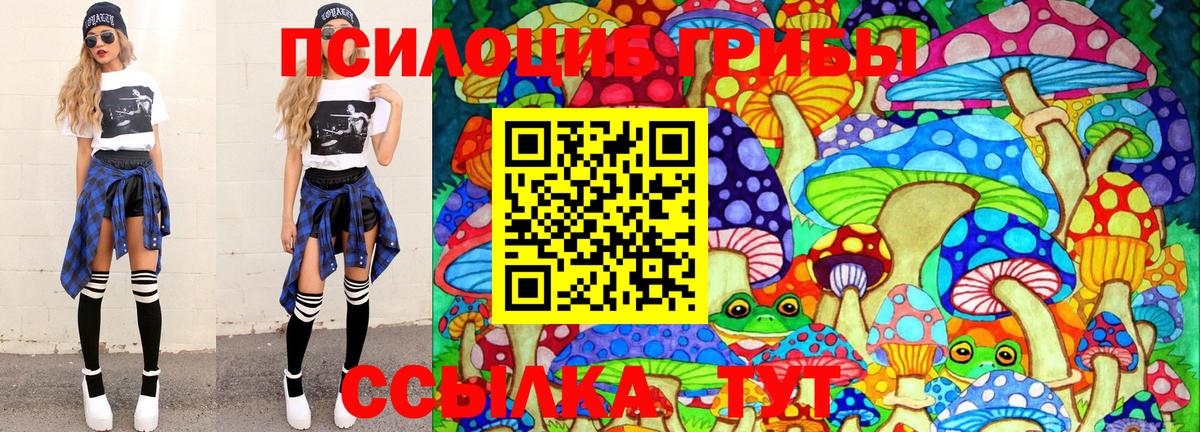 Псилоцибиновые грибы MAGIC MUSHROOMS  Вход с VPN  что такое наркотик  Шали 