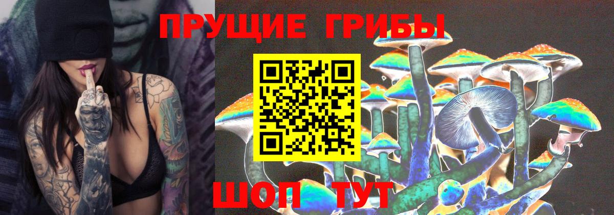 Галлюциногенные грибы GOLDEN TEACHER Шали